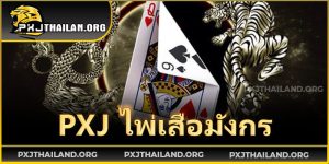 PXJ-ไพ่เสือมังกร